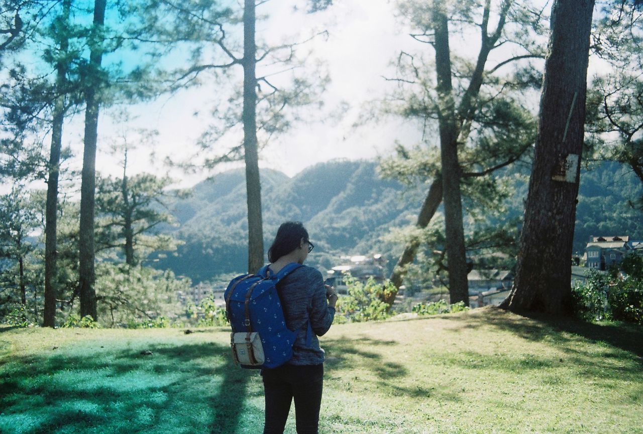 rear view, tree, lifestyles, leisure activity, standing, full length, men, casual clothing, three quarter length, nature, sky, tranquility, tranquil scene, person, beauty in nature, forest, day, walking