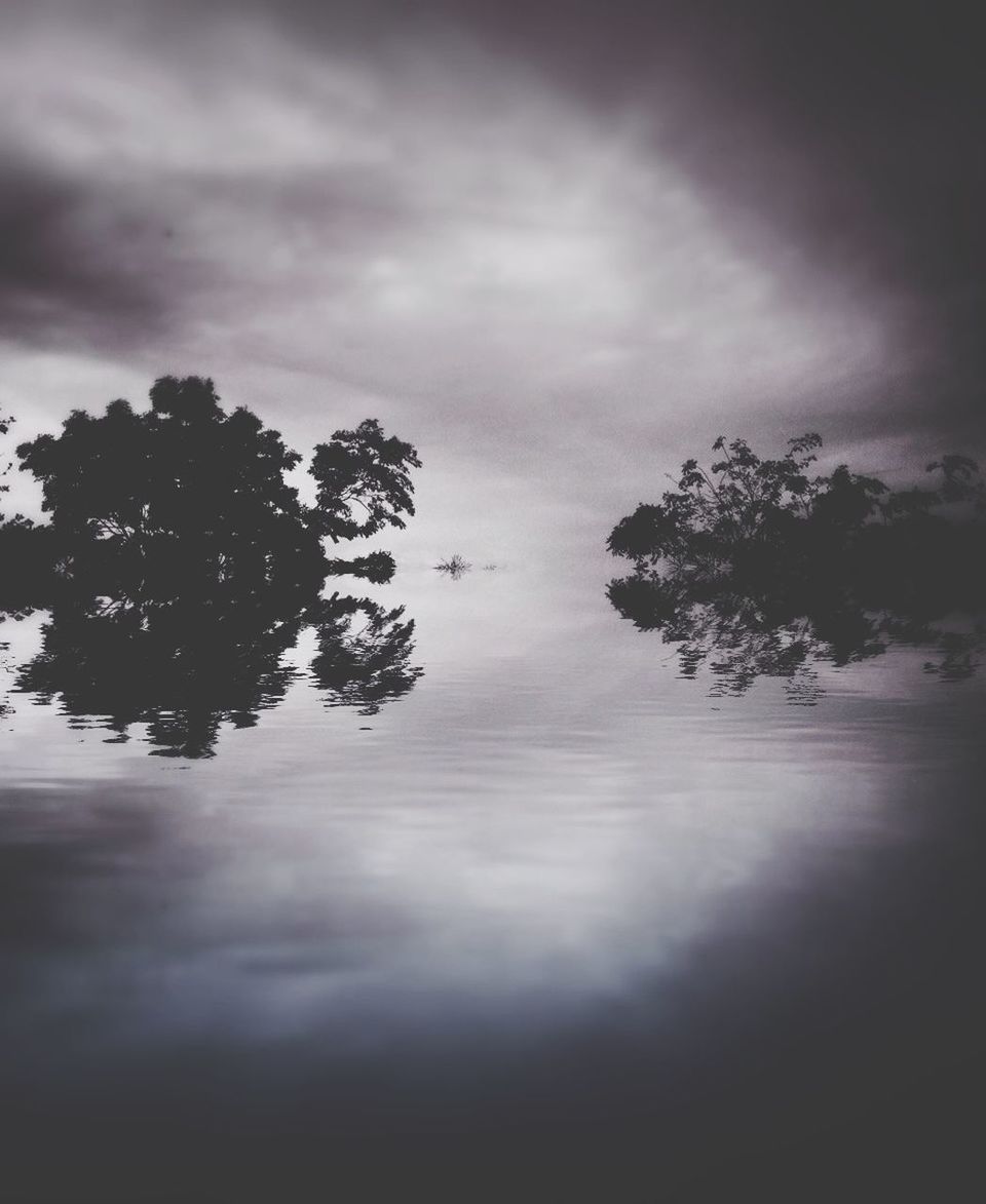 sky, tree, cloud - sky, tranquility, tranquil scene, cloudy, beauty in nature, scenics, nature, water, weather, reflection, cloud, overcast, silhouette, lake, dusk, idyllic, waterfront, growth