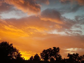 Low angle view of silhouette trees against orange sky