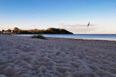 Scenic view of beach against sky during sunset