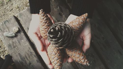 Close-up of hand holding wood