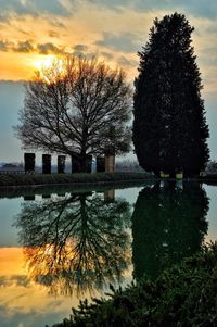 Trees against sky during sunset