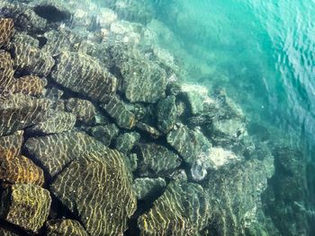 High angle view of rocks in sea