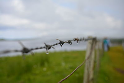 Close-up of barbed wire against sky