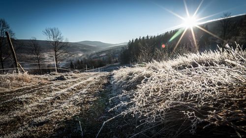 Scenic view of snow covered land against bright sun