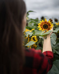 Close-up of hand holding yellow flowering plant