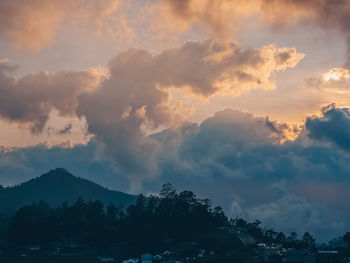 Low angle view of silhouette trees against sky during sunset