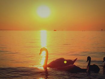 Scenic view of sea at sunset