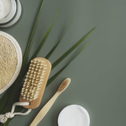 Close-up of bread on plant