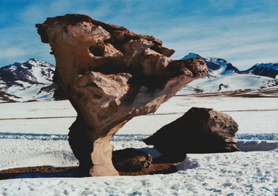 View of snowcapped mountain