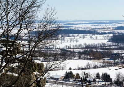 Bare trees on snow covered landscape