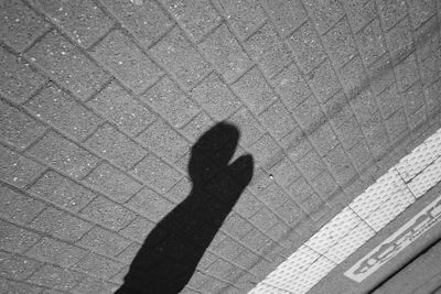 Shadow of person on footpath