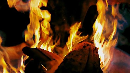 Close-up of bonfire at night