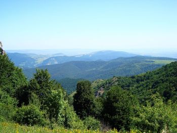 Scenic view of landscape against clear blue sky