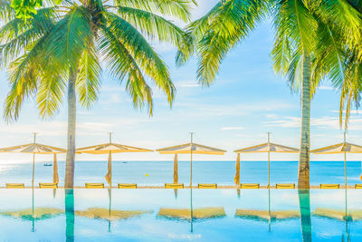 Palm trees by swimming pool against sky