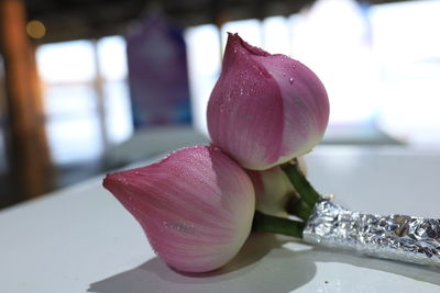 Close-up of pink rose on table