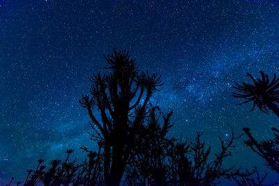 Low angle view of tree against sky at night