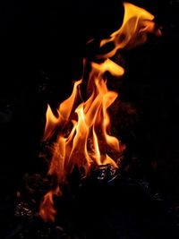 Bonfire at night