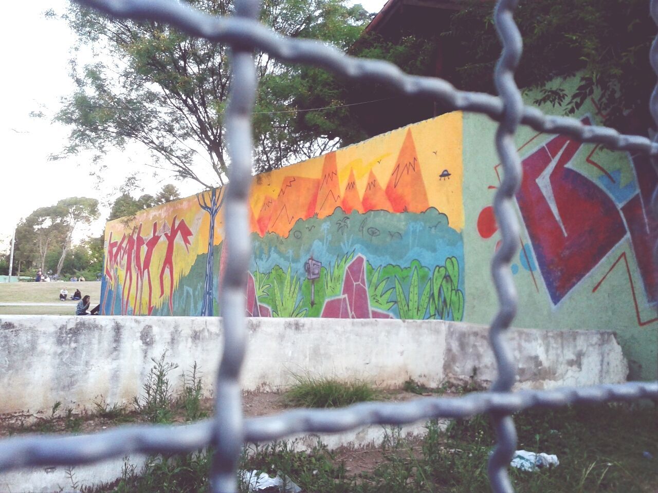 tree, protection, chainlink fence, fence, safety, built structure, day, branch, architecture, metal, graffiti, building exterior, security, no people, outdoors, railing, close-up, text, clear sky, focus on foreground