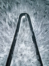 Aerial view of road and snow covered forest