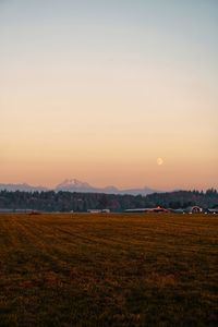 Scenic view of field against clear sky during sunset