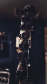 Close-up of black tea on table