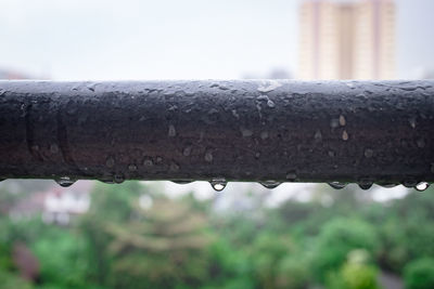 Close-up of raindrops on railing