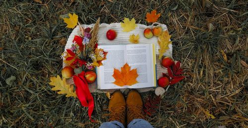 Low section of person on field during autumn