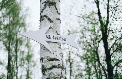 Low angle view of sign on tree trunk