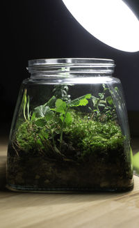 Close-up of glass jar on table
