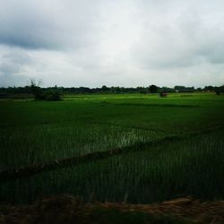 Scenic view of field against cloudy sky