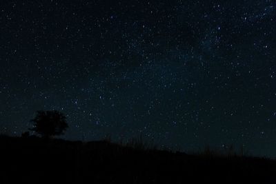 Low angle view of silhouette trees against star field at night