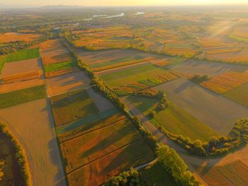 Aerial view of agricultural field