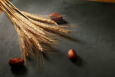 High angle view of wheat on table against wall