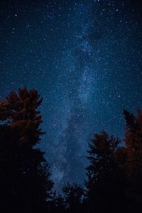 Low angle view of trees against star field