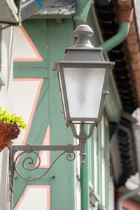 Close-up of potted plant on street