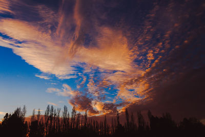 Low angle view of silhouette trees against sky