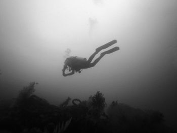 Low angle view of silhouette man swimming in sea