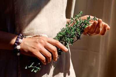 Alternative medicine. woman holding in her hands a bunch of marjoram.