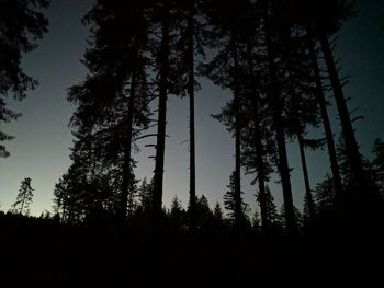 Low angle view of silhouette trees against sky