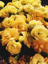 Close-up of yellow flowers