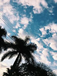 Low angle view of silhouette coconut palm tree against sky