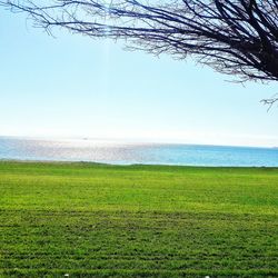 Scenic view of sea against clear sky