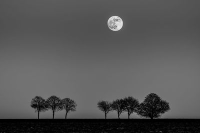 Scenic view of field against clear sky at night