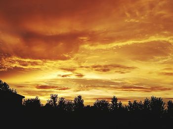 Silhouette trees against dramatic sky during sunset