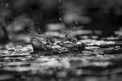 Close-up of raindrops on water