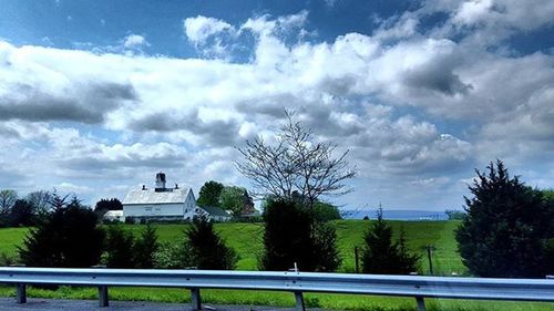 Trees on field against cloudy sky