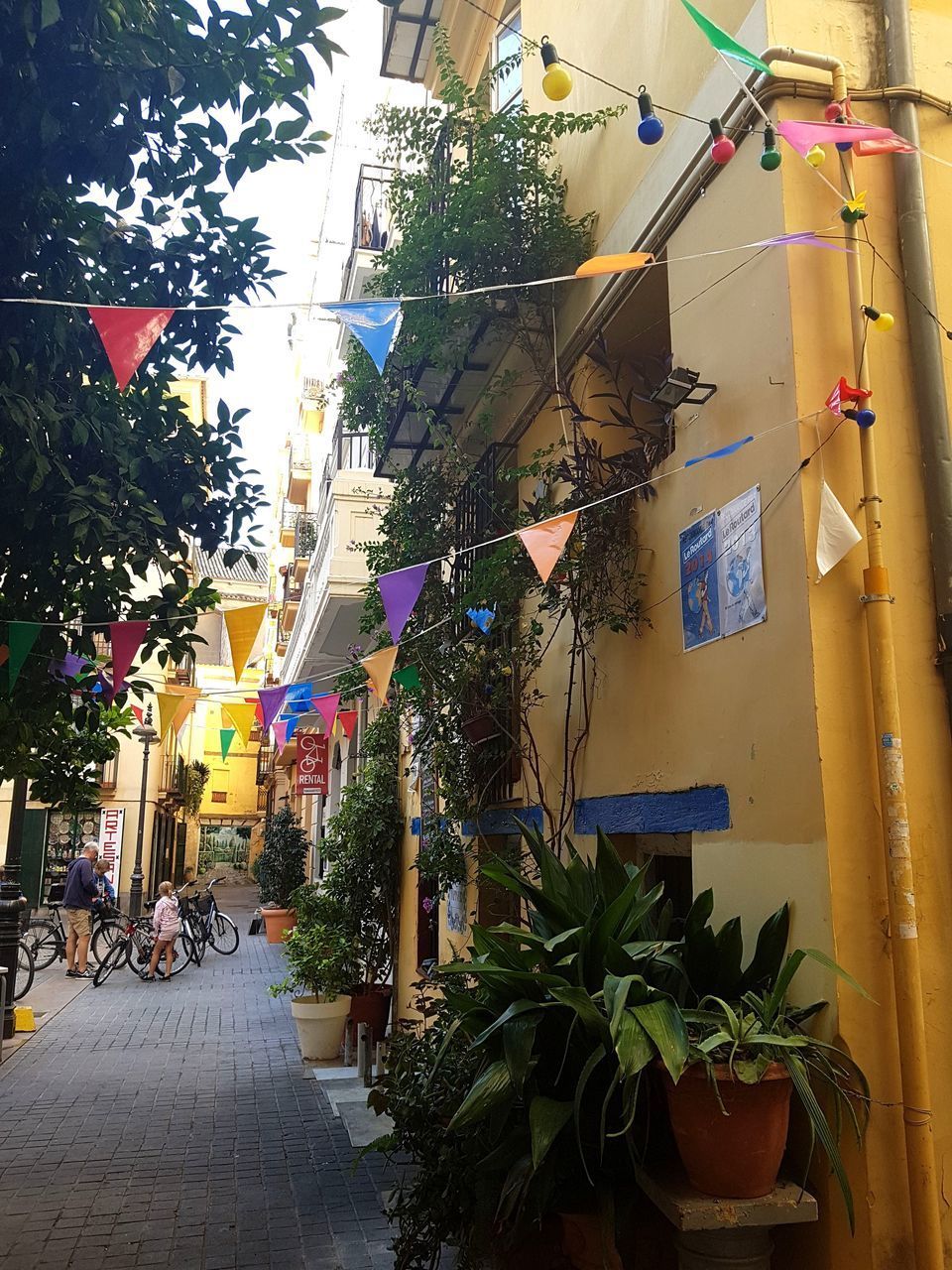 POTTED PLANTS AGAINST BUILDING