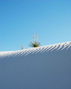 Low angle view of palm trees against clear blue sky