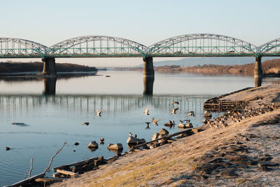 View of birds on bridge over water against sky